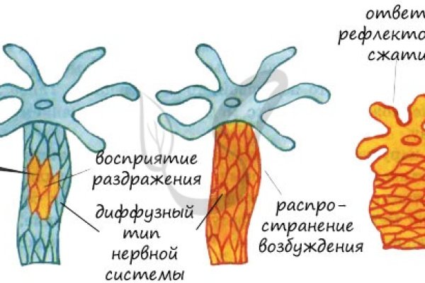 Какая комиссия кракен маркетплейс