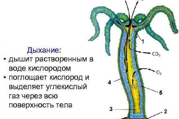 Кракен как зайти ссылка